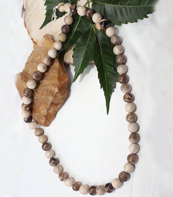 Ghost Smoke Petrified Wood Necklace — The Cave Lady