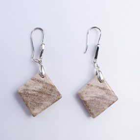 Petrified wood with 925 sterling silver dangle earrings
